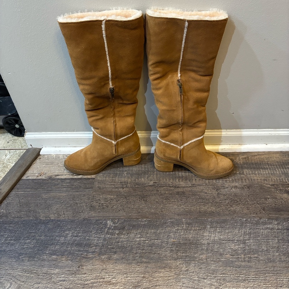 Women's UGG Suede